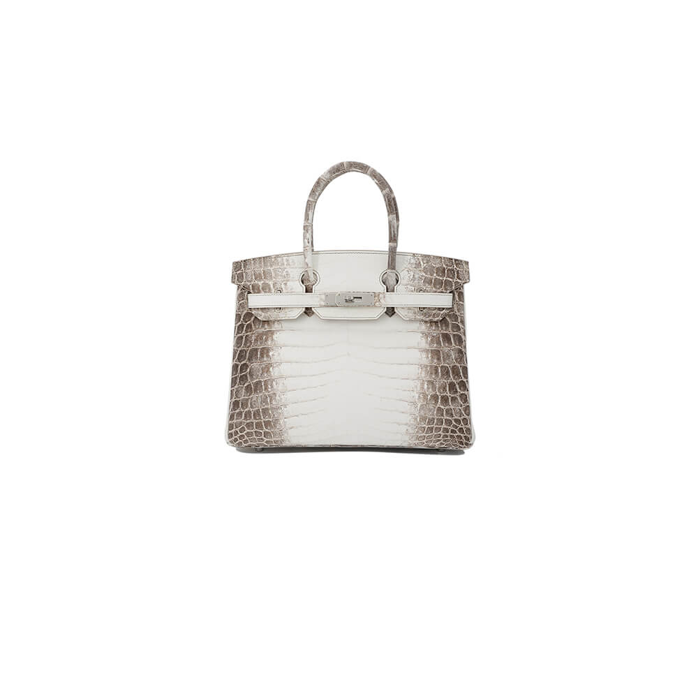 Hermès Birkin 30 – Himalayan