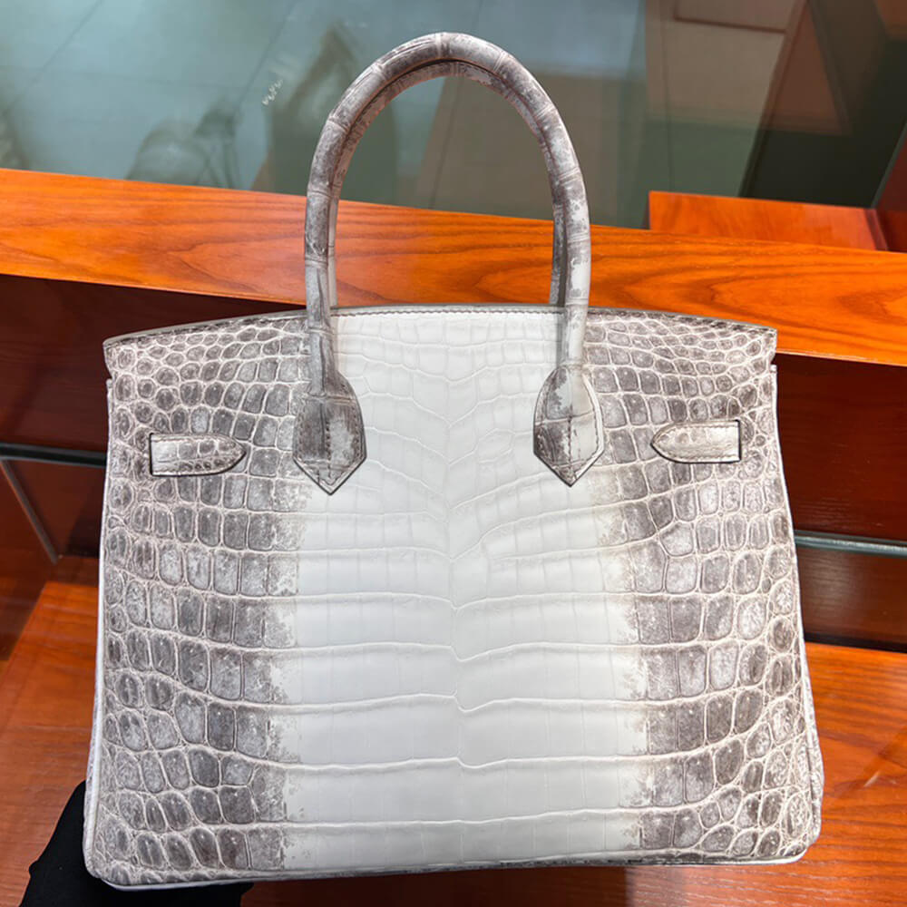 Hermès Birkin 30 – Himalayan