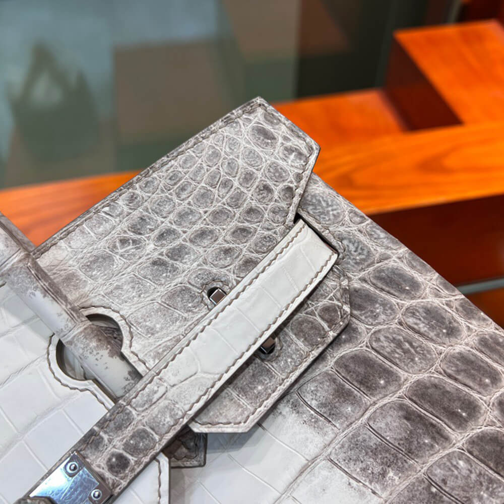 Hermès Birkin 30 – Himalayan