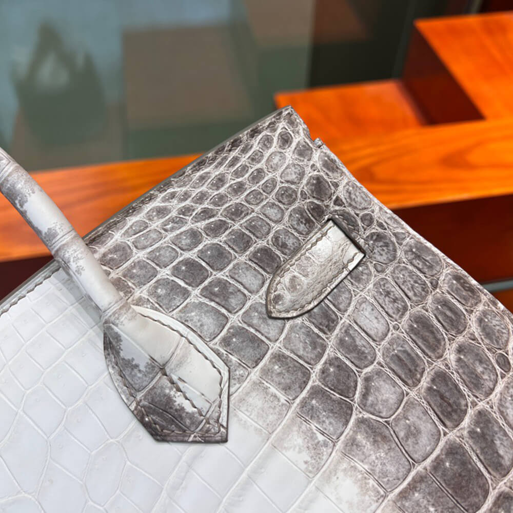 Hermès Birkin 30 – Himalayan