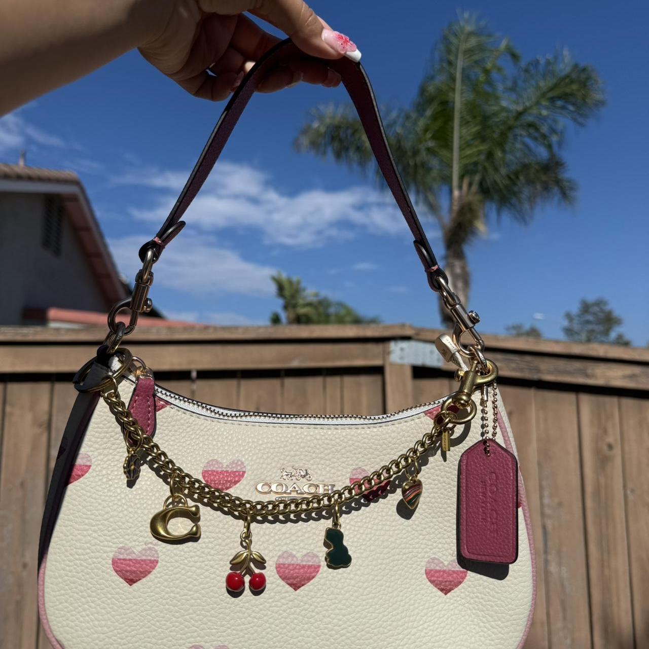 Coach Teri Shoulder Bag With Stripe Heart Print