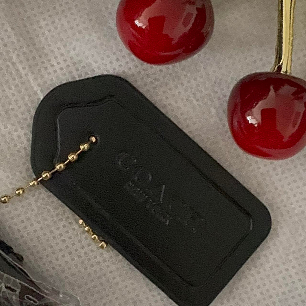 Coach mini rowan bag In signature canvas