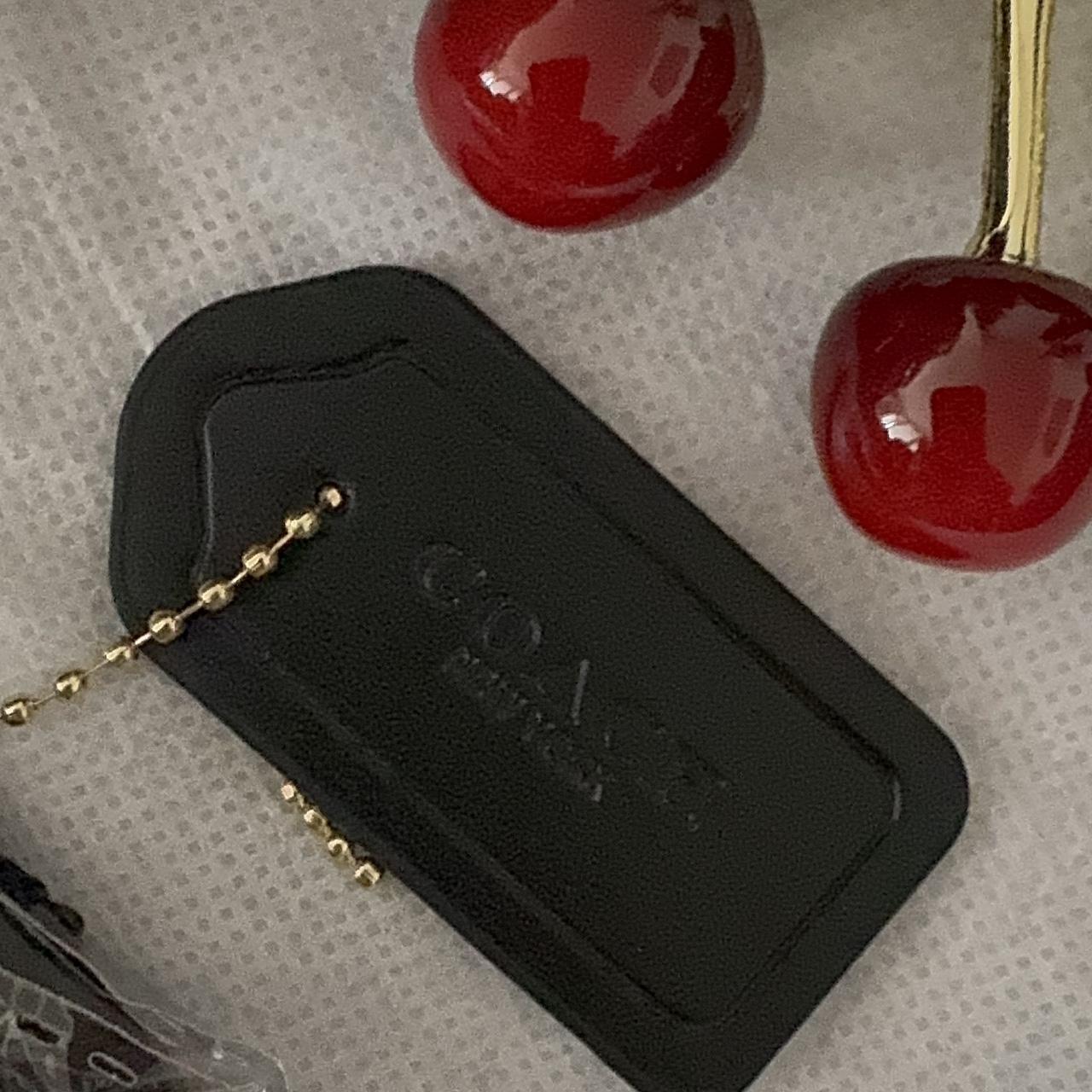 Coach mini rowan bag In signature canvas